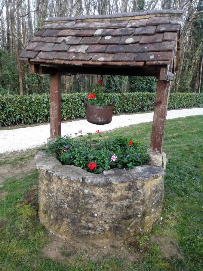 Le Chalet Douillet Saint-Genies Buitenkant foto