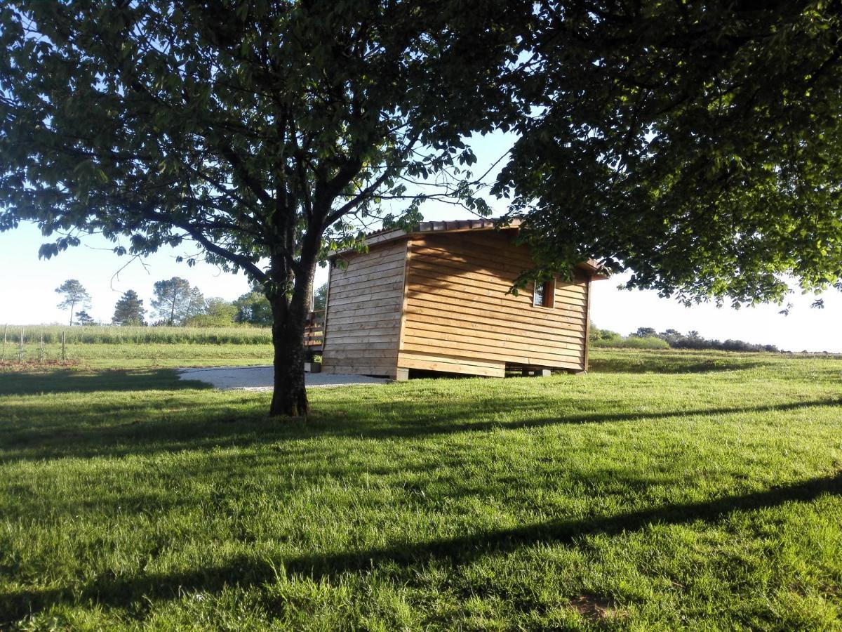 Le Chalet Douillet Saint-Genies Buitenkant foto